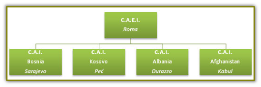 CAI Organigramma