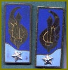 Mostrine per uniforme estiva Divisione Folgore, Uniforme anni '50